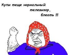 13106566.jpg