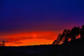 IMG_5886.jpg