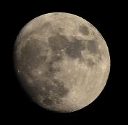 IMG_5627.jpg