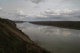 IMG_4942.jpg