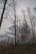 IMG_4913.jpg