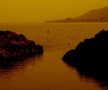 IMG_0691_s.jpg