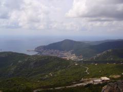 P1010204.jpg