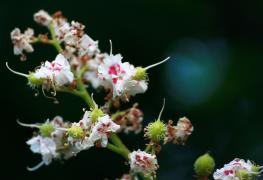 IMG_8щ45.jpg