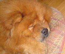 Picture_289.jpg