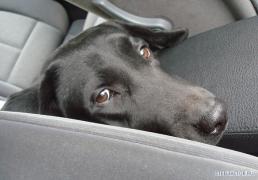 Picture_056.jpg