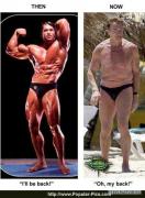 arnold_schwarzenegger_fat_1_.jpg