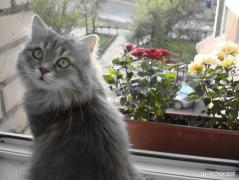 x_fb9a66f5.jpg