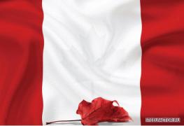 13271_012129_1556cbc680ae864aa03352c7369832b8.jpg