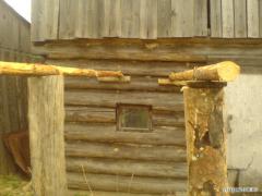 DSC00737.jpg