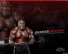 ath_jojack_1280x1024_2.jpg
