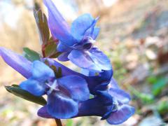 IMG_0855.JPG