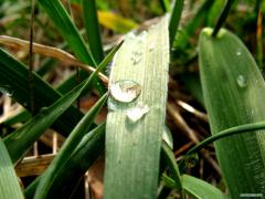IMG_1068.JPG