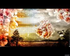 The_world_of_love_zastavki_com_4090_10.jpg