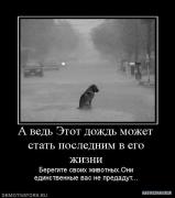 307029_a_ved_etot_dozhd_mozhet_stat_poslednim_v_ego_zhizni.jpg