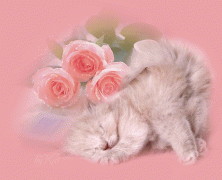 924827b78baa.gif