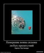 483266_namerenie_voina_silnee_lyubyih_prepyatstvij.jpg