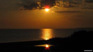 IMG_40211.JPG