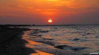 IMG_41081.JPG
