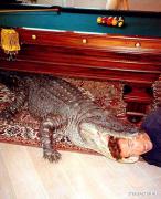 kinopoisk_ru_Arnold_Schwarzenegger_501661.jpg