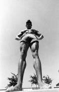 kinopoisk_ru_Arnold_Schwarzenegger_501702.jpg