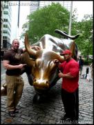 Bull2.JPG