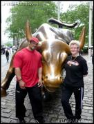 Bull.JPG