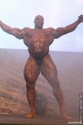 ronnie_coleman_bratislava_31.jpg