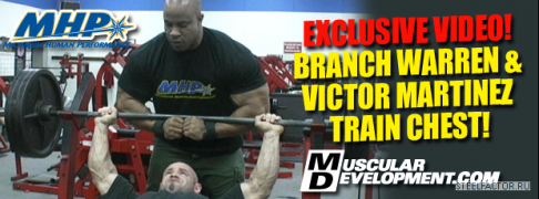 VICTOR_BRANCH_CHEST1.png