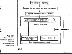 Безымянный2.png