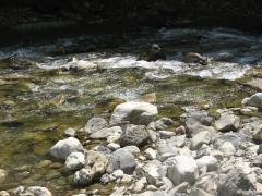 IMG_3861м.jpg