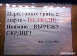 1224102517_nesrat.jpg