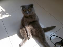 01052010363.jpg