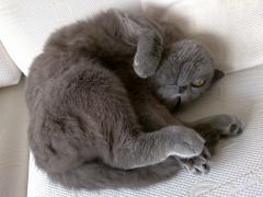 30042010361.jpg