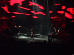 SAM_0909.JPG
