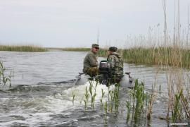 рыба_027.jpg