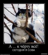 y_0617dedc.jpg