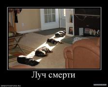 y_5138cee3.jpg
