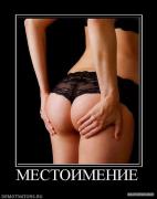 y_da635e12.jpg