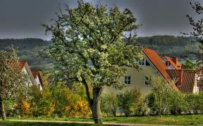 DSC04015_6_7_8_9_tonemapped.jpg
