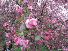 IMG_6419.jpg
