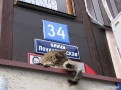 IMG_6514.jpg