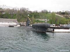 IMG_6956.jpg