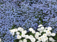 IMG_7062.jpg