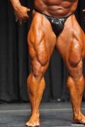 2011_Novice326.jpg