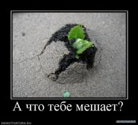 355172_a_chto_tebe_meshaet.jpg