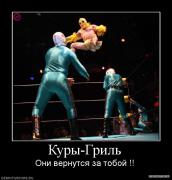 900063_kuryi_gril.jpg