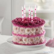 cake4.jpg