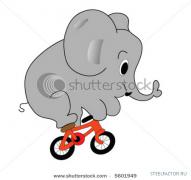 stock_vector_vector_illustration_of_the_elephant_riding_bicycle_5601949.jpg