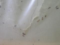 IMGP4072.JPG